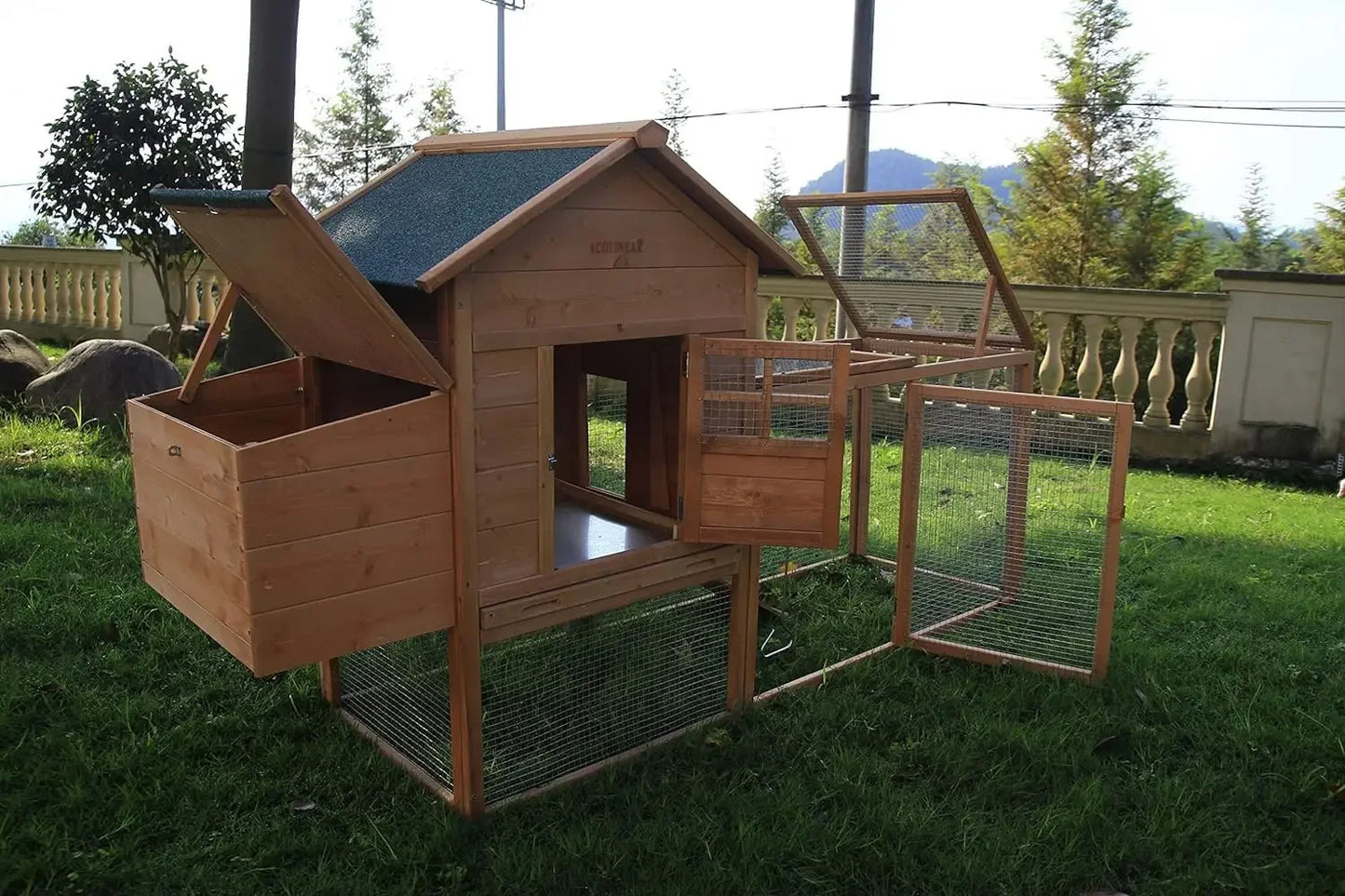 Large Chicken Coop