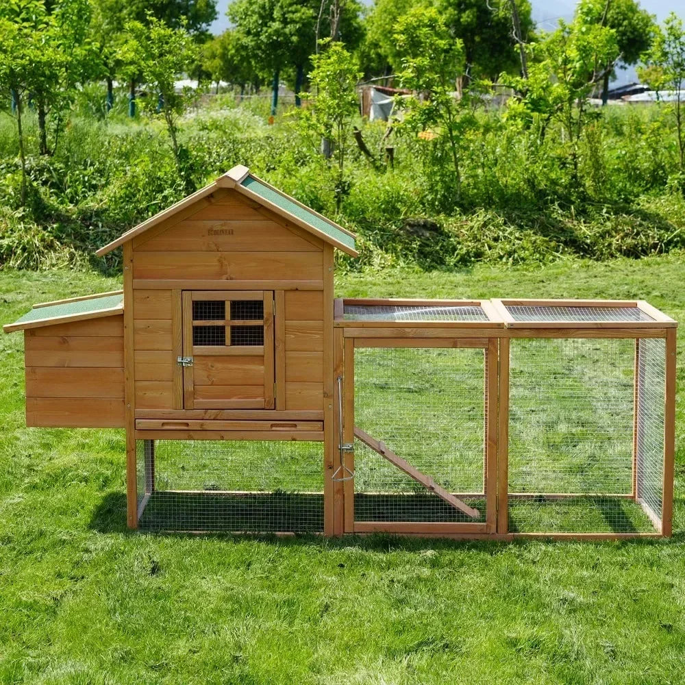 Large Chicken Coop