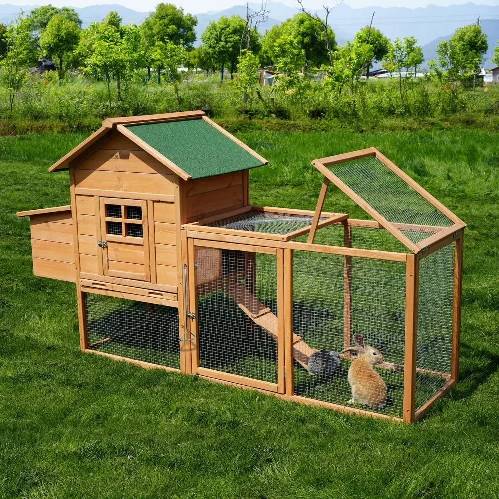 Large Chicken Coop