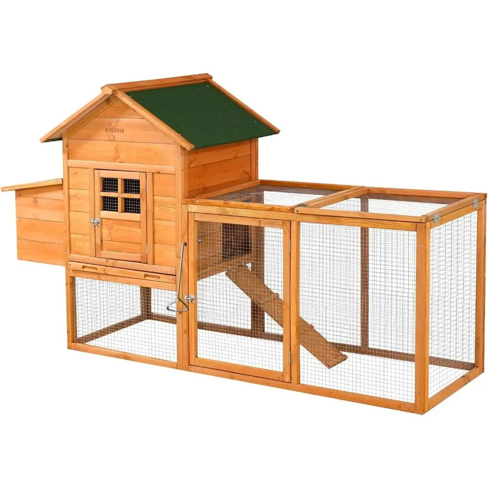 Large Chicken Coop